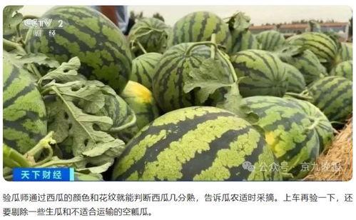 瓜老师,开启人生新篇章